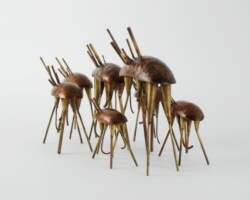 Caraconicles